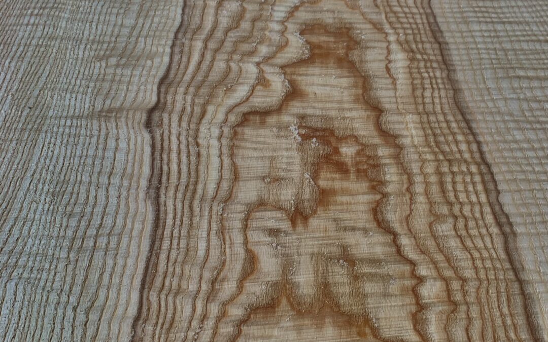 Sciage d'une planche en frêne